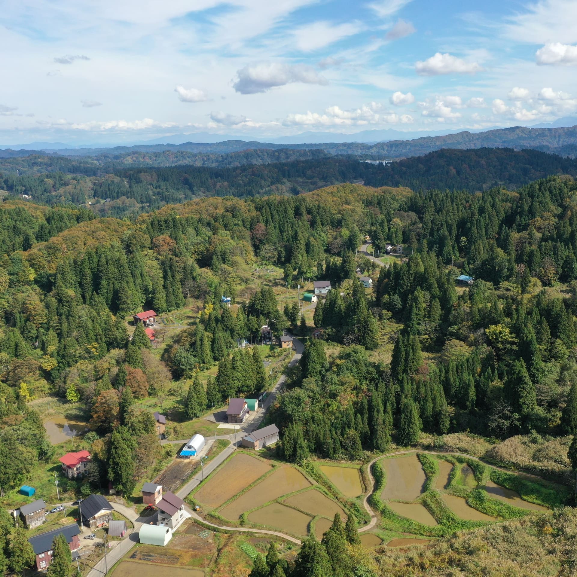 空から見た松之山黒倉の集落と棚田