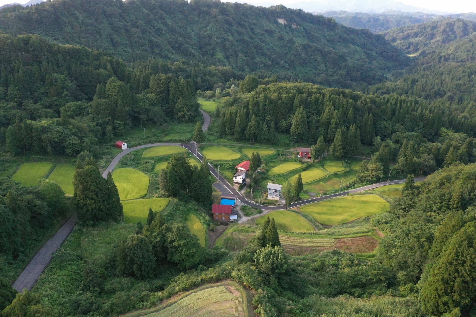 空から見た黒倉の棚田